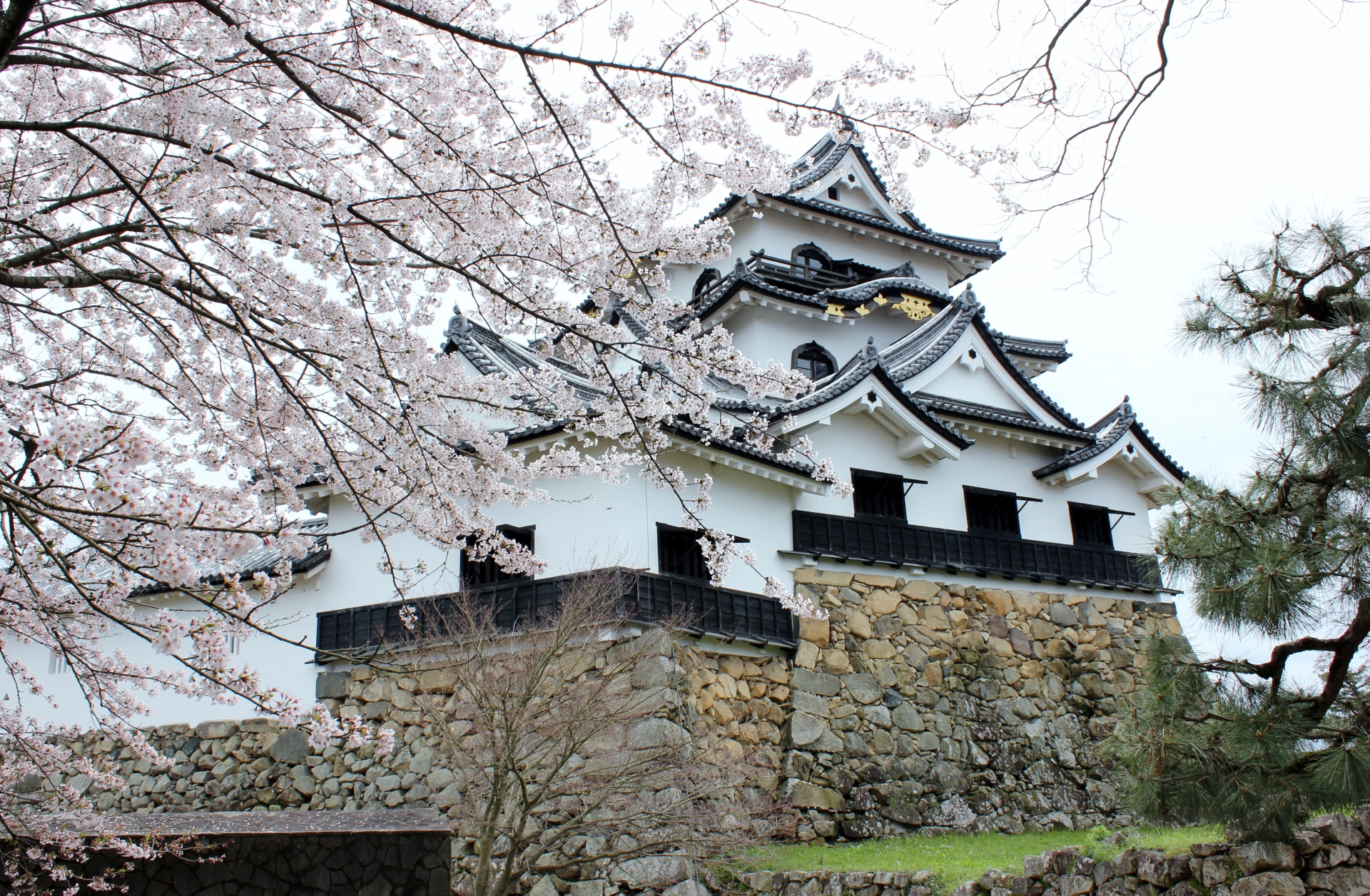 彦根城のアクセスや地図と周辺観光