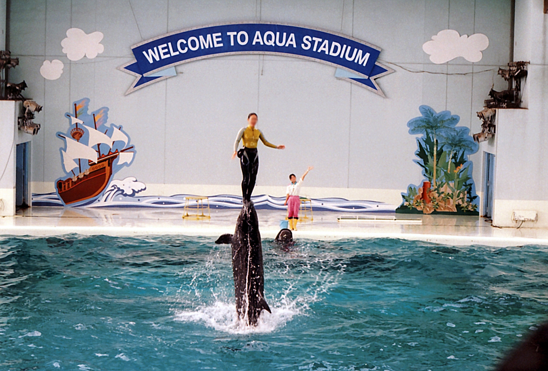 八景島シーパラダイスの水族館やアトラクションと賢い楽しみ方