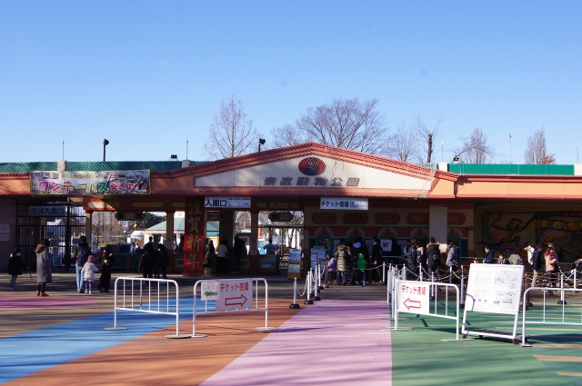 東武動物公園のイベントや開演時間・休園日、料金や割引制度について