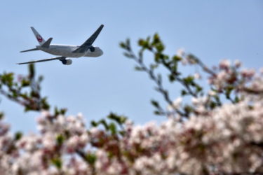 JAL(日本航空)の国際線や国内線と予約方法、気になる機内サービスについて