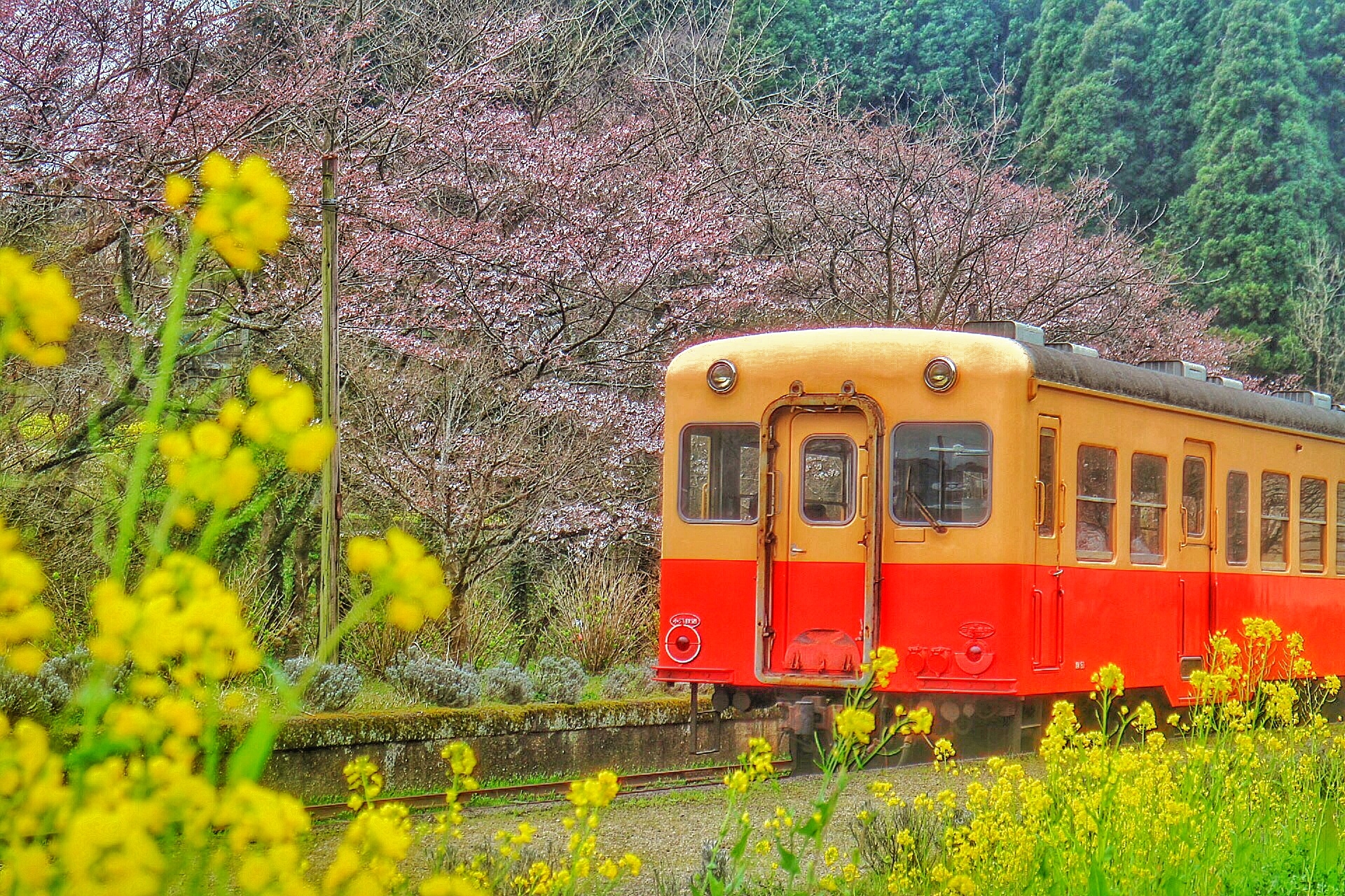 小湊鉄道の路線を巡る旅はトロッコ列車だけではなく見どころが満載！