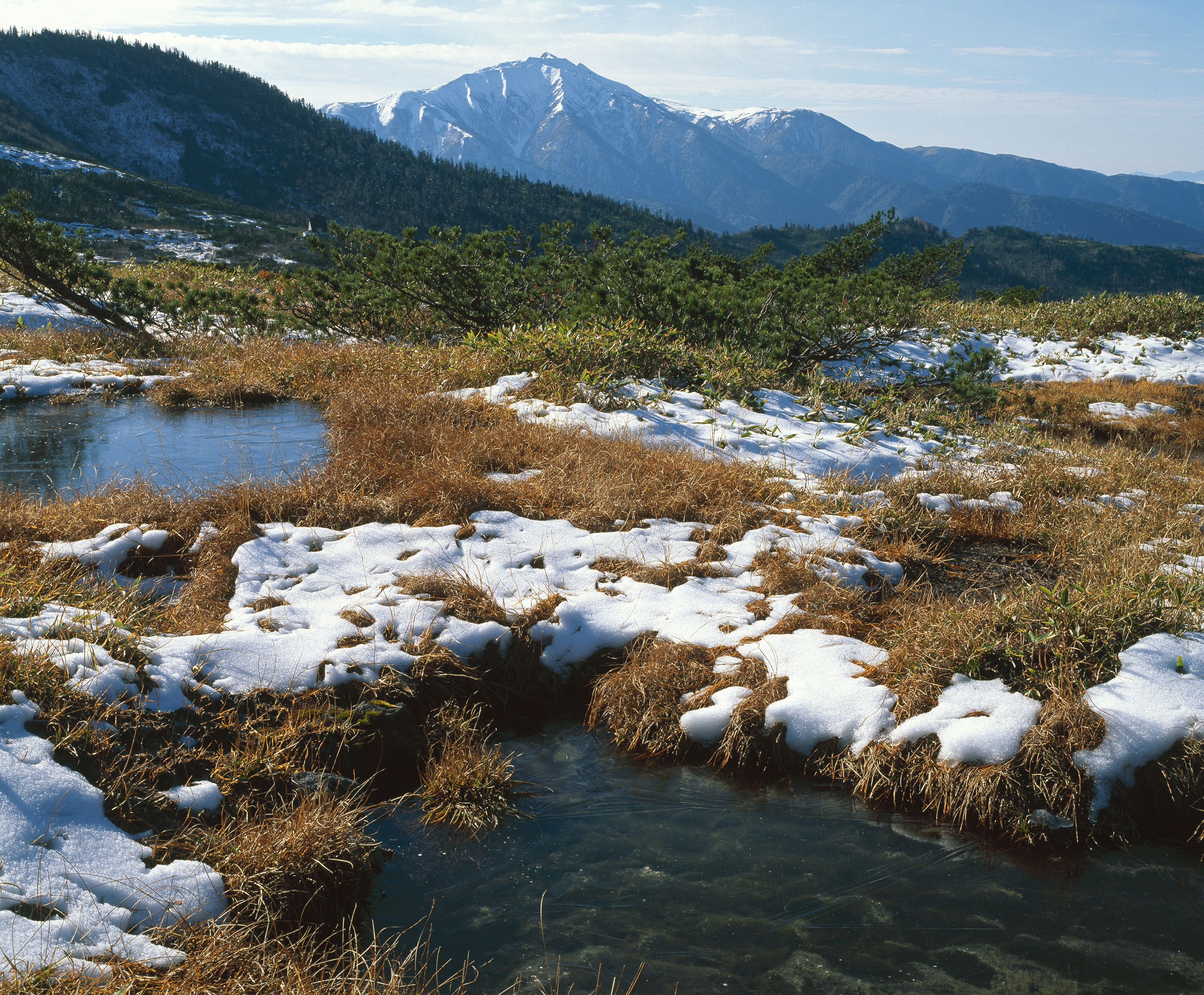 立山弥陀ヶ原のアクセス、散策・ハイキングや紅葉など季節の楽しみ方とホテルについて