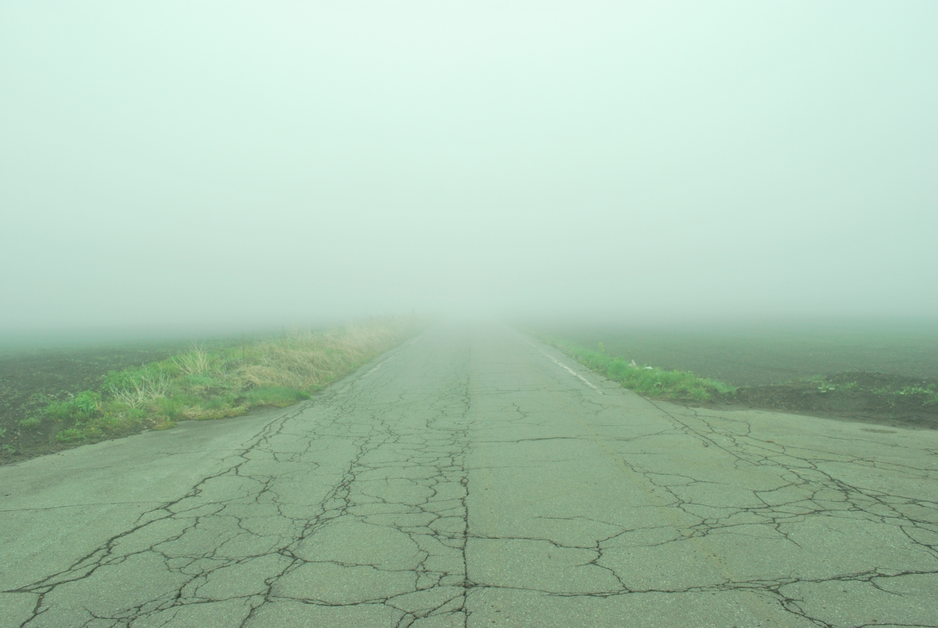 ミステリーツアー・国内や海外の行き先の傾向や口コミ・感想情報