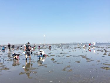 千葉の潮干狩りおすすめスポット